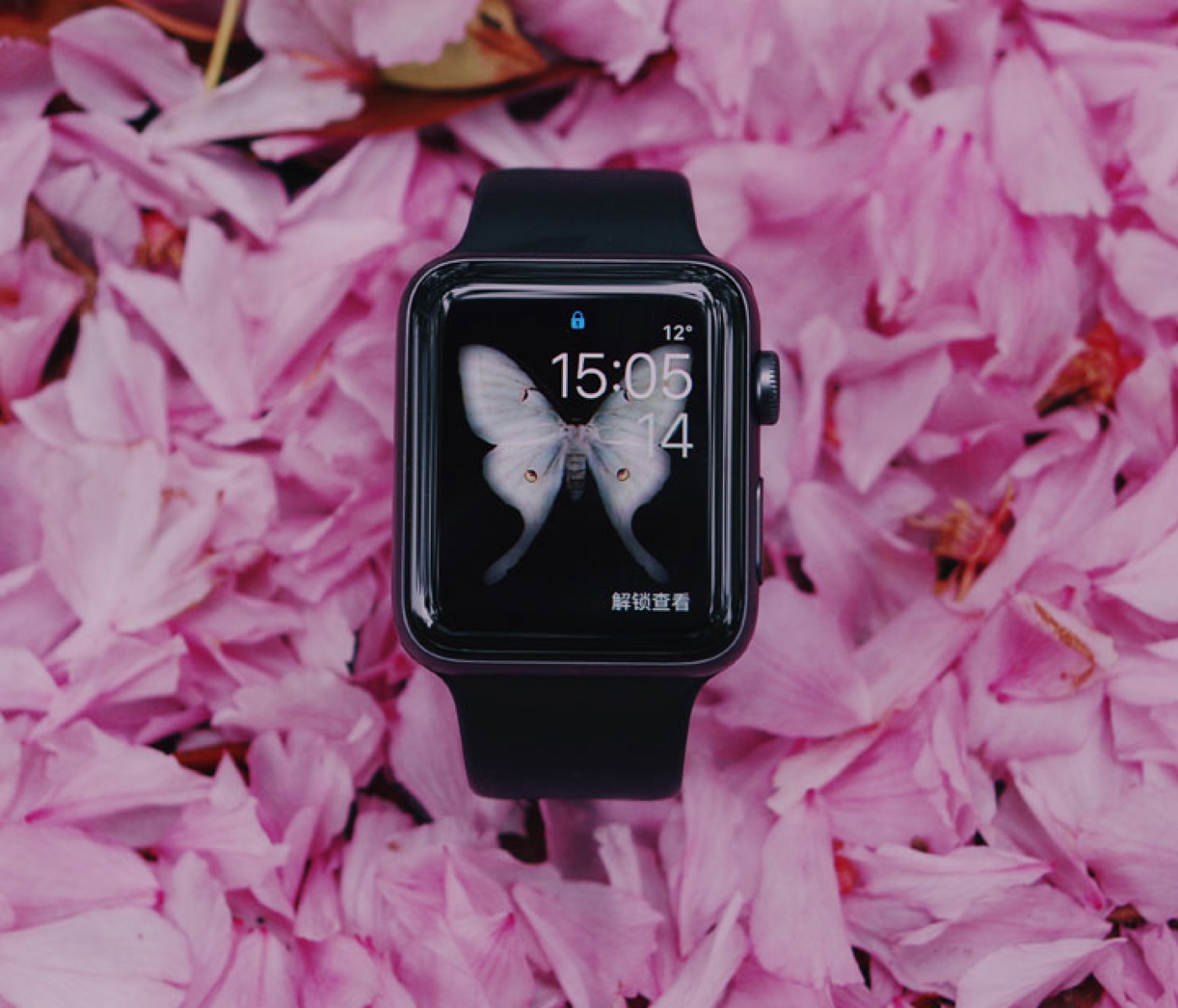 Apple has disabled its Walkie-Talkie app on Apple Watch due to security flaw